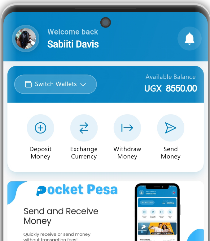 Pocket Pesa Enterprise Financial Platform